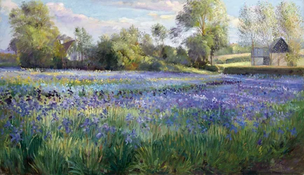 Geflecktes Licht auf dem Irisfeld, 1991